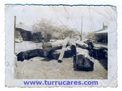 Tucas esperando ser trasladadas por el ferrocarril hacia el aserradero 